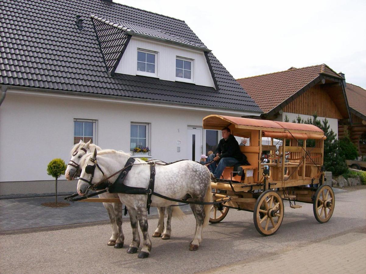 לינה וארוחת בוקר Marmagen Gastehaus „Haus Am Hahnenberg“ מראה חיצוני תמונה